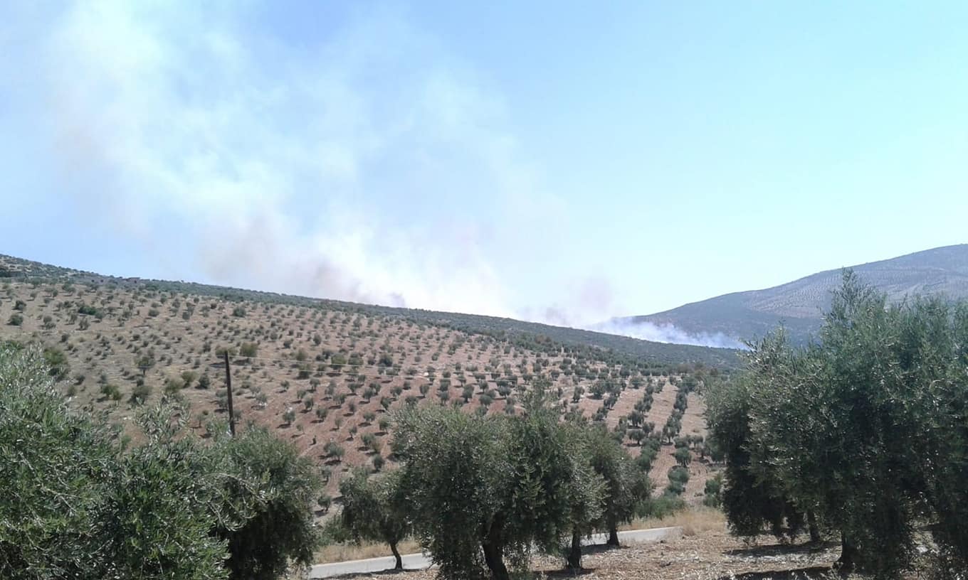 Rêxistinek: Dar û daristanên Efrînê bi qest tên şewitandin